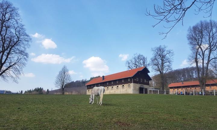 Gestuetsgasthof Marbach